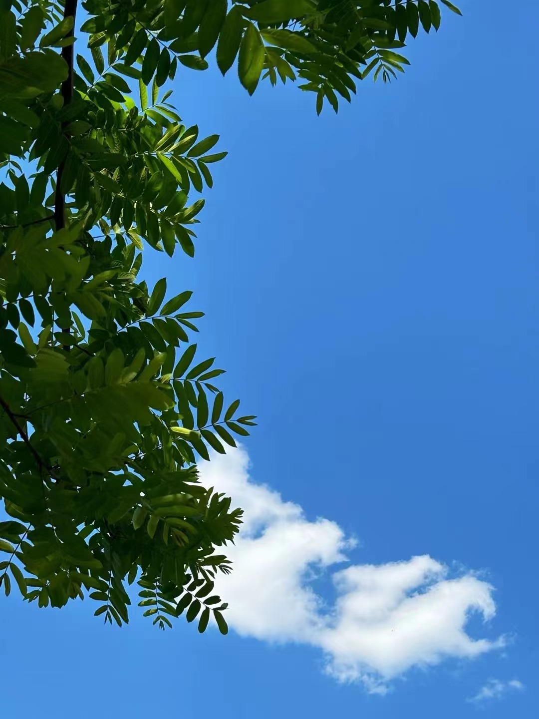 夏天的结束